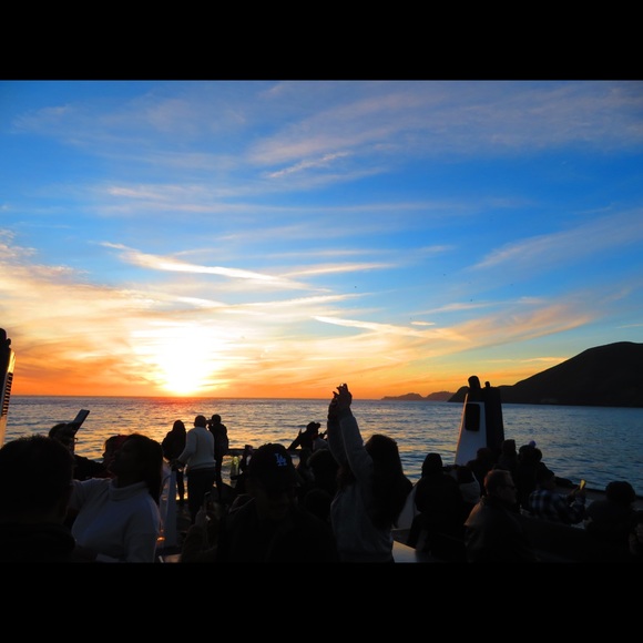 Meet your Posher, Joanne - Picture 3 of 5